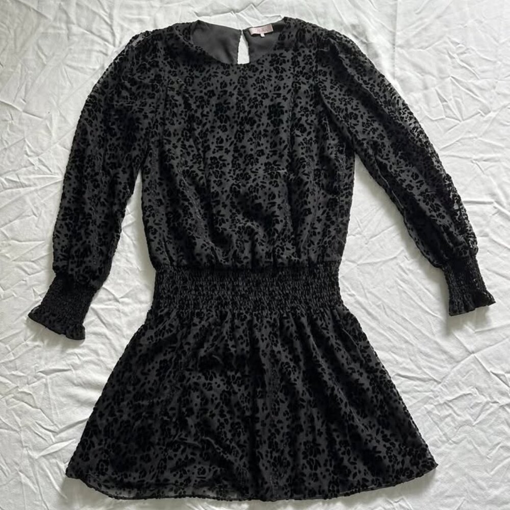 Parker velvet floral drop waist dress